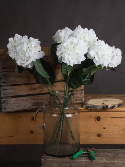 White Small Head Hydrangea