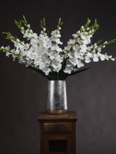 White Gladioli