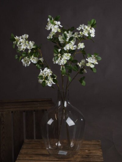 White Spring Mock Orange Flower