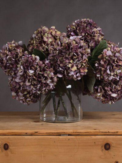 Autumn Burgundy Hydrangea