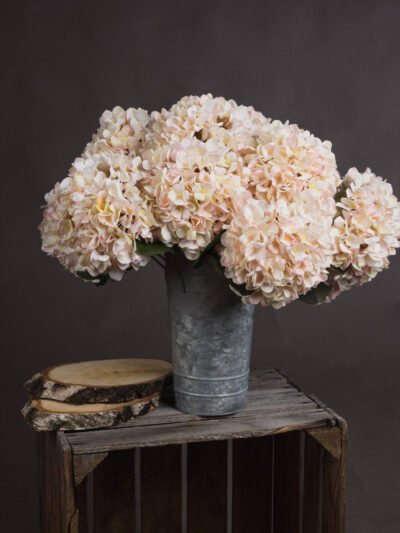 Autumn White Hydrangea