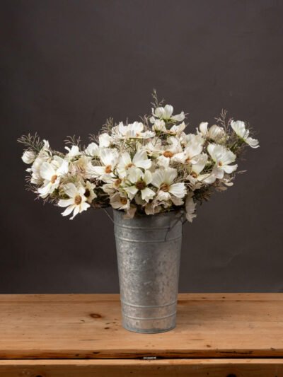 Cream Cosmos Spray