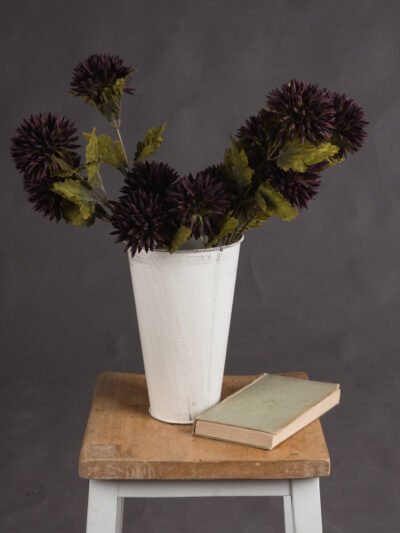 Chocolate Chrysanthemum