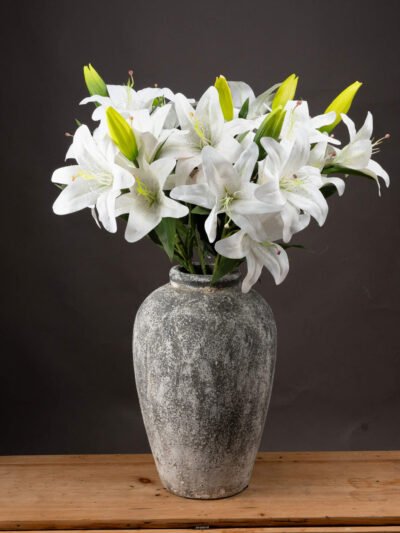 White Lily
