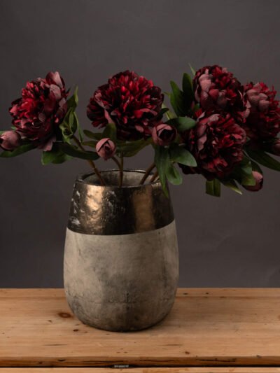 Burgundy Peony Rose
