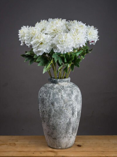 Classic White Peony