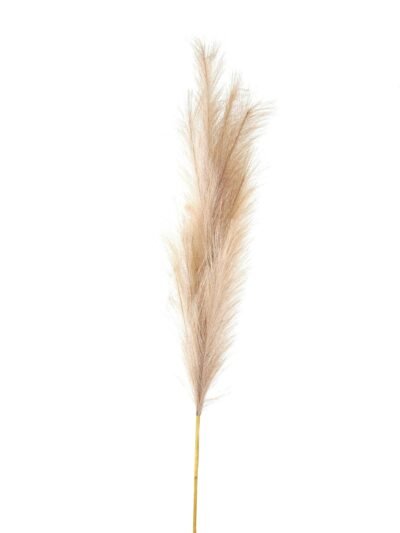 Bleached  Large Faux Pampas Grass Stem