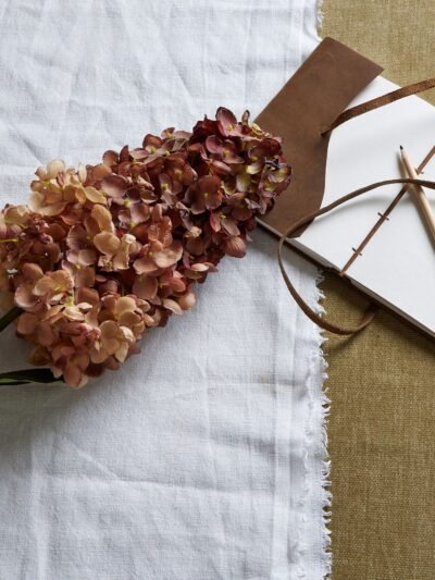 Burgundy Spear Hydrangea