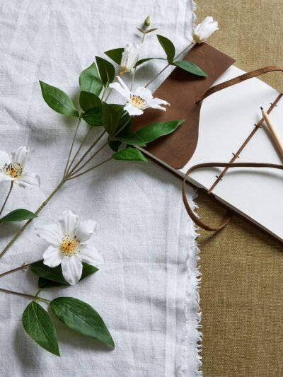 White Florida Clematis