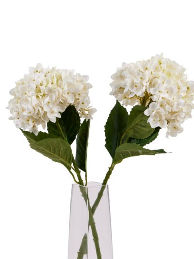 White Hydrangea Stem