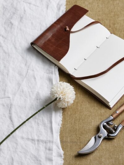 White Short Chrysanthemum