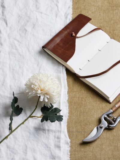 White Chrysanthemum