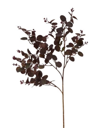 Burgundy Eucalyptus Bunch
