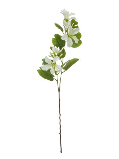Cream Bauhinia Orchid Spray