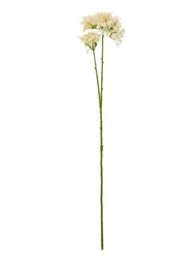 Cream Crown Hydrangea Stem