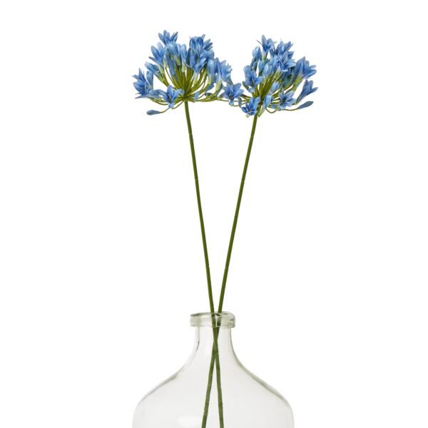 Blue Agapanthus Stem - Image 3