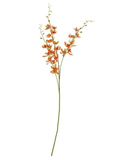 Orange Cymbidium Spray