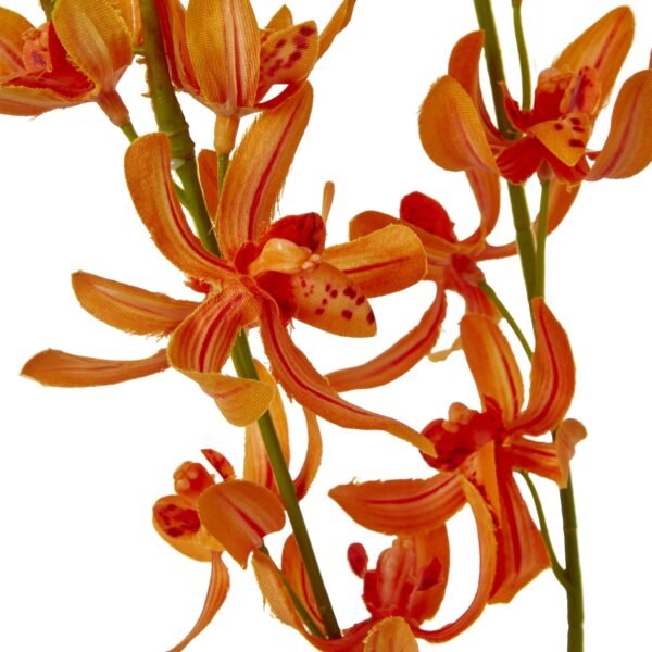 Orange Cymbidium Spray - Image 2